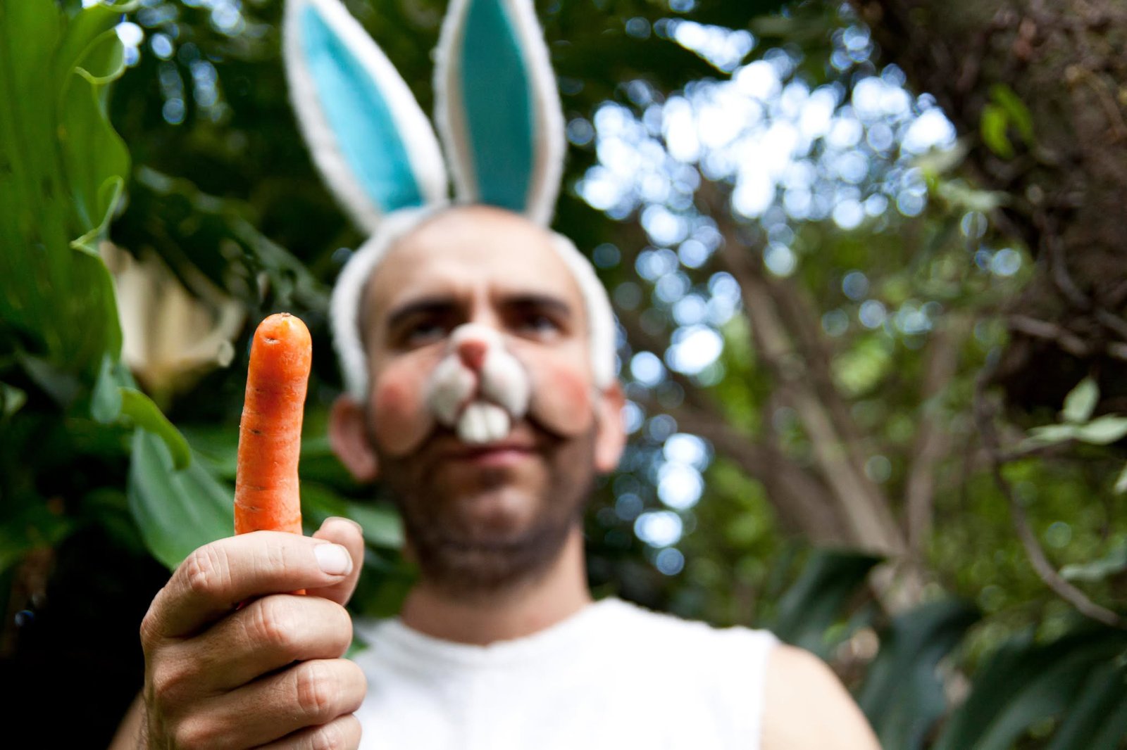 Nube aclara y oscurece: El Conejo Alberto, ¿mascota o arma letal?